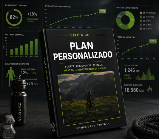 PLAN PERSONALIZADO